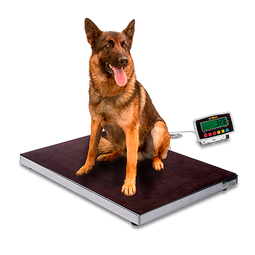 Plataforma Veterinaria 200 Kg BAVET-200